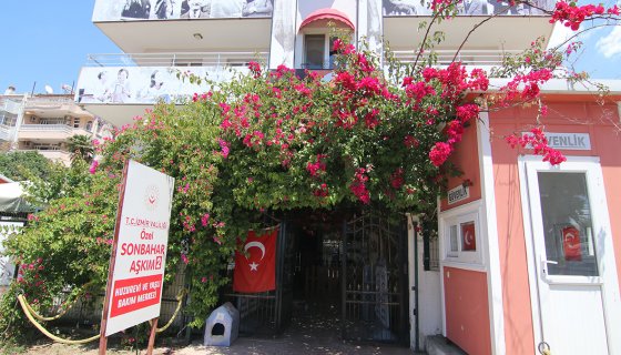 Sonbahar Aşkım 2